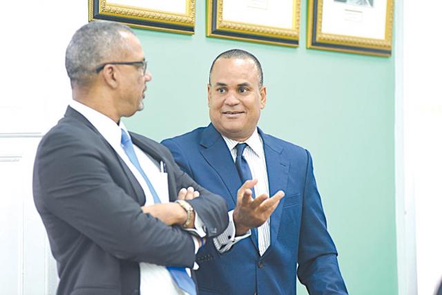 hoa-fitzgerald-halkitis82