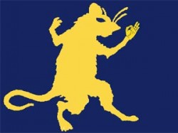 plp-rat